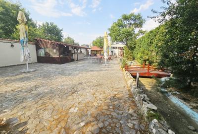 Casă + Afacere + Relaxare = Investiția Perfectă, in Cioranii de Jos - 41