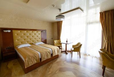 Inchiriez Apartament cu o camera Zona Terra Clinique - 2