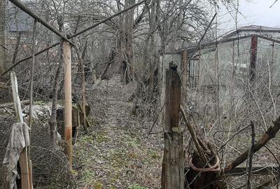 Casa cu curte individuala, teren: 768 mp, in Andrei Muresanu - 4