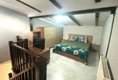 Garsoniera ultracentrala de inchiriat strada Republicii pietonala, Oradea - 2