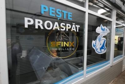 Apartament cu 2 camere semidecomandat, mobilat în P-ța Reșița - 20