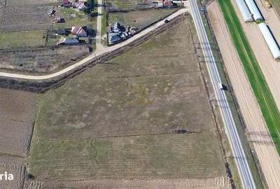 Teren de 14300 mp, în Medieșu Aurit - 1