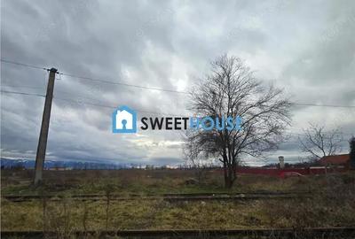 Teren de 2500 mp, în Central - 4