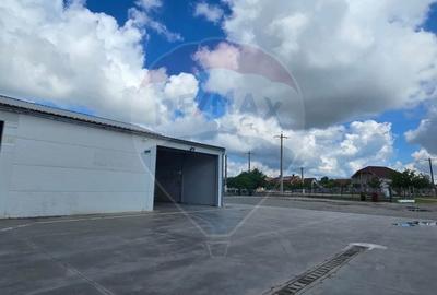 Spațiu comercial, de 100 mp, în Socodor - 1