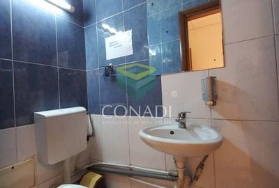 Birou de inchiriat // Domenii // Mihalache - 21