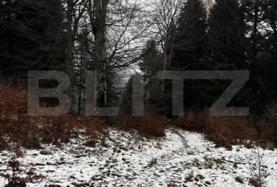 Teren de 4000 mp, în Calea Moroieni - 13