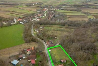 RECO Casa de vacanta la Holod- langa padure- teren 2190mp - 2