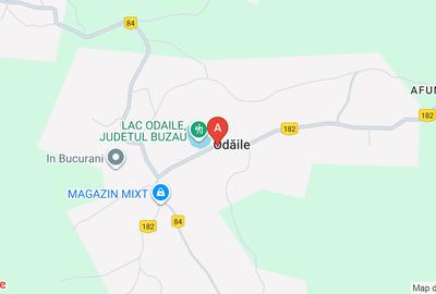 🌿 SUPER OFERTĂ! Vand 17 hectare de teren în comuna Odăile, jud. Buzău - 1