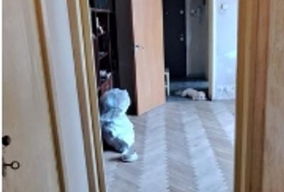 Dristor metrou Baba Novac, bl.reabilitat,balcon, debara,geam la baie,spatios. - 2