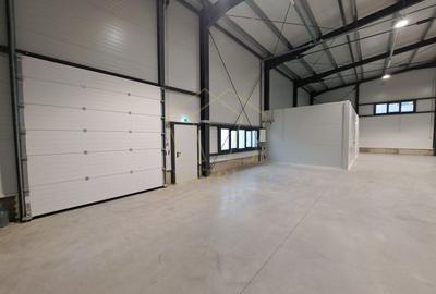 COM 0% Hale servicii, birouri și depozitare de inchiriat  | Giarmata-Vii - 3