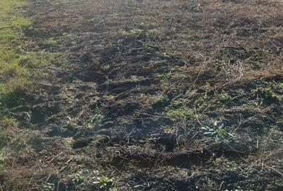 Teren de 800 mp, în Armeni - 2