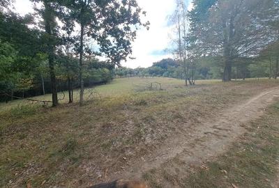 Teren 15826 mp + padure 1 ha - 6