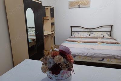 Proprietar, inchiriez apartament 2 camere, zona Circumvalatiunii - 6