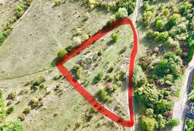 Teren intravilan cu vedere panoramică  4230mp - Mediaș - 4