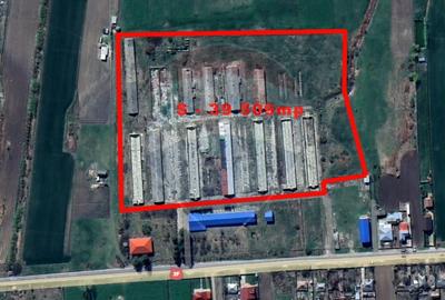 Teren  intravilan in sat Zapodia, com. Traian, jud. Bacau, 36.200mp, - 7