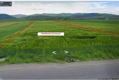 Teren de 2900 mp, în Tărlungeni - 2