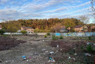 Teren intravilan - vanzare - Colentina - Padurea Andronache - 3