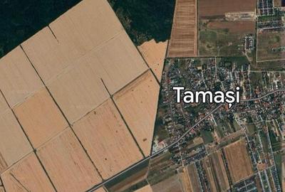 Vanzare Teren  Intravilan Tamasi Corbeanca - 2