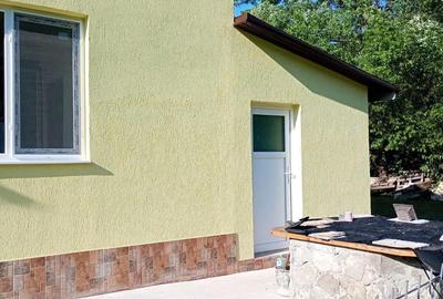 Casă cu 6 camere cu Teren 1500 Mp în Lepșa - 3