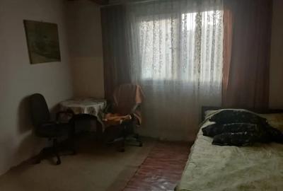 Vand casa Ohaba Romana - 6