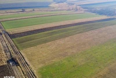 Teren de 5000 mp, în Ilieni - 2