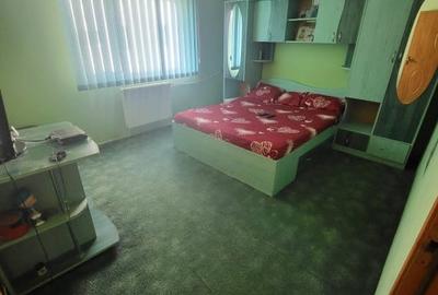 APARTAMENT 3 CAMERE-SEBASTIAN-PARC-VULCAN CENTRE-HOL H - 15