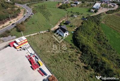 Teren de 2500 mp, în Viișoara - 1