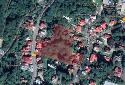 Teren 6550 mp in Sinaia cu PUZ | Oportunitate Investitie - 2