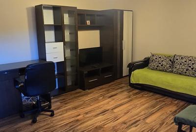 Casa renovata total in 2 studiouri separate cu curte - 14