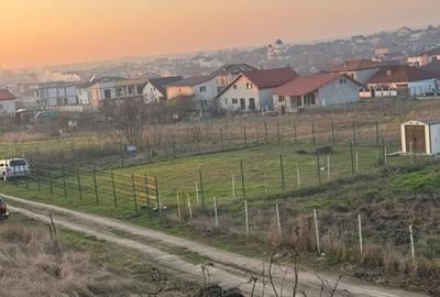 Teren intravilan Techirghiol - 18