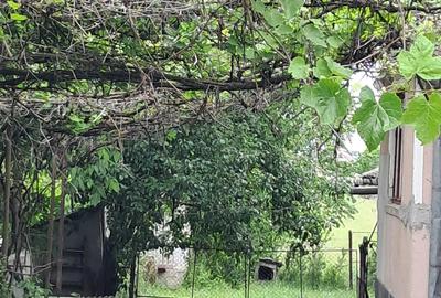 Casa si teren - 3