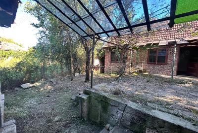 Bocsa Romana, 2 Corpuri de cladire cu Teren de 555 mp. si garaj, la sosea - 13
