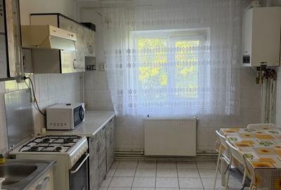 Apartament cu 3 camere decomandat în Aradului - 2