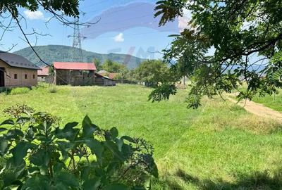 Teren 1,534mp Sighetu Marmatiei / Strada Tractorului - 2