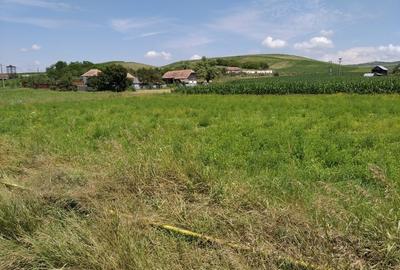Vand 6.600 MP Intravilan, la marginea soselei asfaltate DJ 151 A, Judetul Mures. - 2