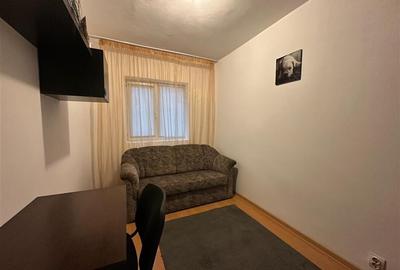 Inchiriere Apartament cu 2 camere Decomandat Podul de Fier - 4