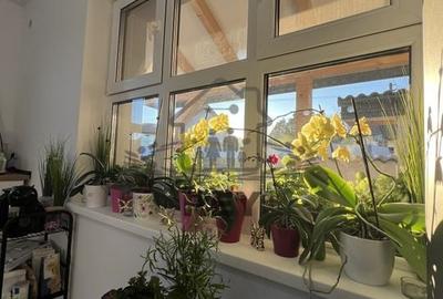 Apartament cu curte individuală | Cisnădie | Mall - 4