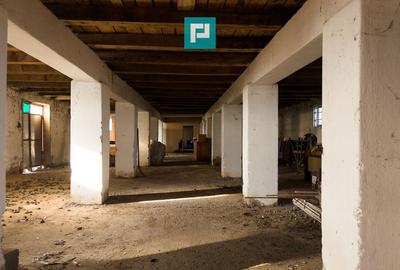 Hală industrială cu teren generos în Zărand, Arad - 38