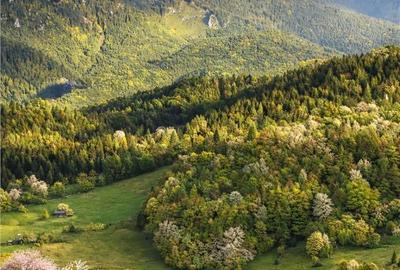 Spațiu comercial, în Fundata - 8