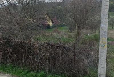 Teren de 4871 mp, în Goranu - 3