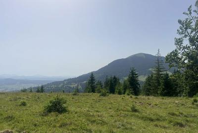 Spațiu comercial, în Dorna Candrenilor - 1