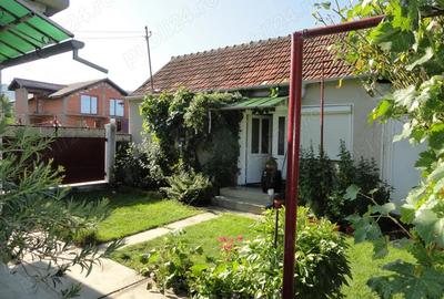 Casa renovata in Galsa, locatie foarte buna, bransamente la toate utilitatile - 20