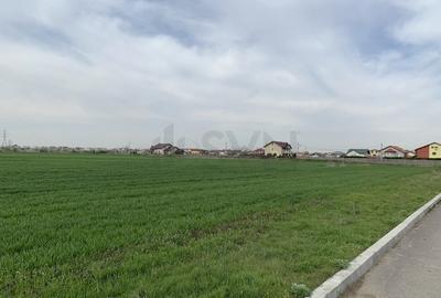 Teren Magurele - 27507 mp - Acces Dublu - Proximitate A0 Teren Magurele - 27507 mp - Acces Dublu - Proximitate A0 - 4