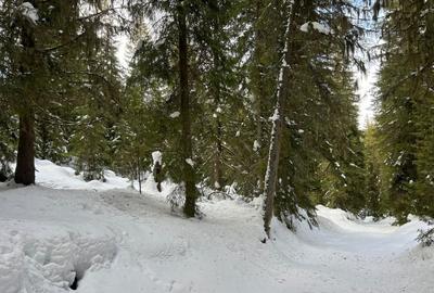 Teren intravilan cu panorama - statiunea Muntele Baisorii - 1