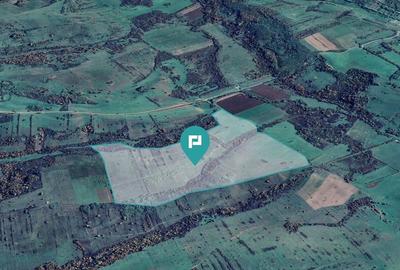 Teren arabil de 87 hectare in Bara, Timi? - 4