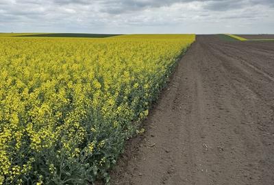 Spațiu comercial, în Țepu - 3