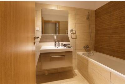 Pta Victoriei - complex Rezidential - Nou -Banu Manta -Titulescu, 3 camere, LUX - 17