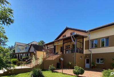 De Vanzare Pensiune Buzias functionala deosebita situate in centrul statiunii - 15