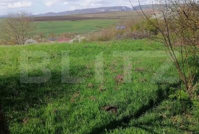 Teren de 1500 mp, în Central