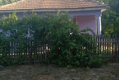 Casă cu 6 camere cu Teren 6000 Mp în Mircea Vodă - 4